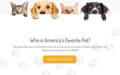 Is America's Favorite Pet a Scam: A Multi-Layered Discussion