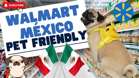 Is Walmart Pet Friendly? A Detailed Analysis