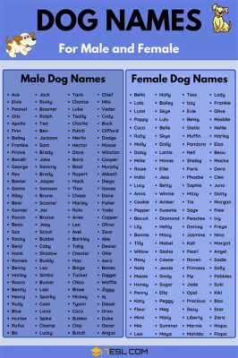 what pet names mean to guys - and the secret language of affection