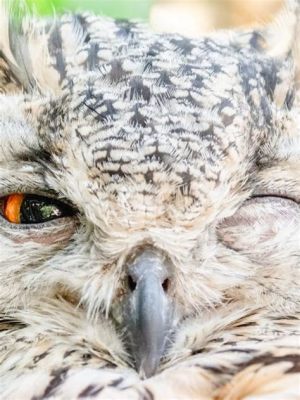 Which Animal Sleeps with One Eye Open: A Deep Dive into Nocturnal Vigilance